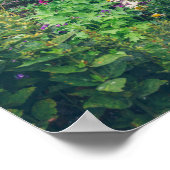 Poster Maison de campagne avec jardin coloré (Coin)