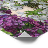 Poster Maison de campagne italienne en plein air (Coin)