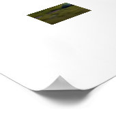 Poster Maison de champignons enchantée (Coin)