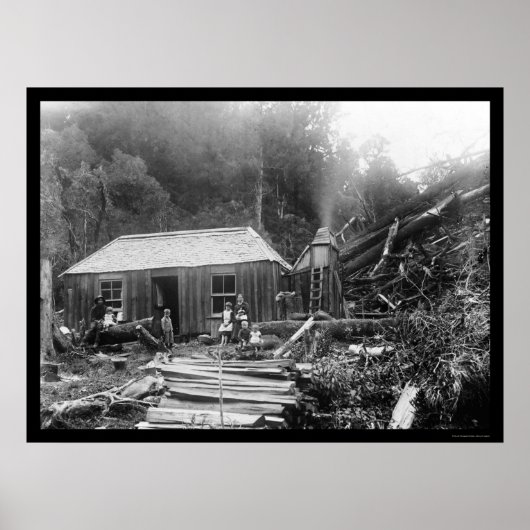 Poster Maison de colons en Nouvelle-Zélande 1906 (Devant)