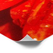 Poster Maison de dahlia Orange (Coin)