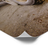 Poster Maison de retraite (Coin)