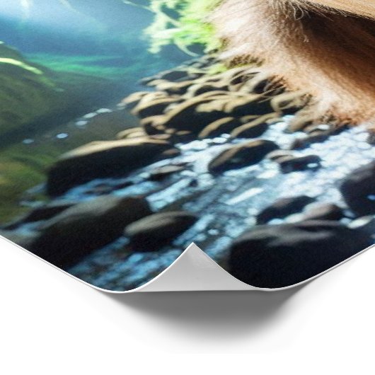 Poster Maison de Sasquatch (Coin)