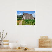 Poster Maison de séchage et ferme de tabac cubaine (Cuisine)