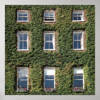 Poster Maison De Ville De Dublin Fenêtres Et Escalades Iv