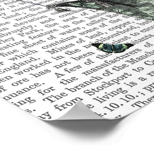 Poster Maison des papillons (Coin)