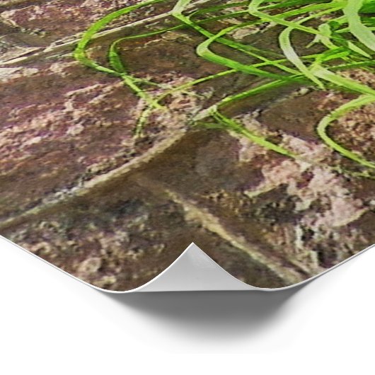 Poster Maison d'été (Coin)