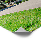 Poster Maison du président Franklin D. Roosevelt (Coin)