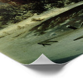 Poster Maison hantée dans la neige, 1848 (Coin)