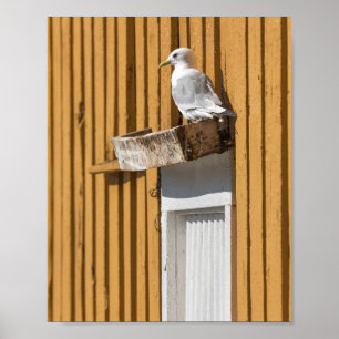 Poster Maison Jaune Seagull