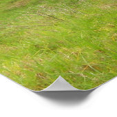 Poster Maison Paniolo (Coin)