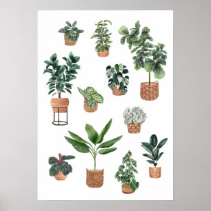 Poster Maison Plante Collection 3