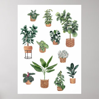 Poster Maison Plante Collection 3