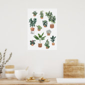 Poster Maison Plante Collection 3 (Cuisine)