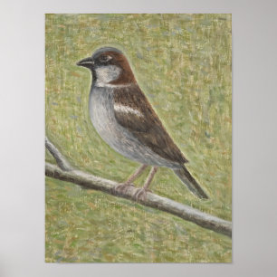 Poster Maison Sparrow 2008