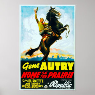 Poster Maison sur l'affiche de film vintage de prairie