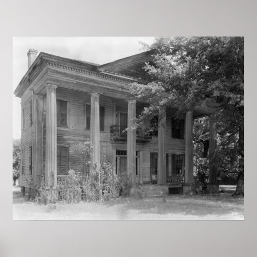 Poster Maison Tyson (Devant)