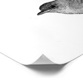 Poster Maison Wren (Coin)