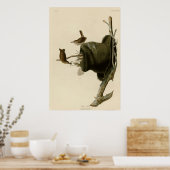 Poster Maison Wren (Cuisine)