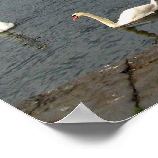 Poster Maisons irlandaises (Coin)