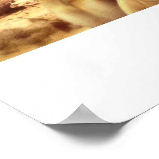 Poster maître (Coin)