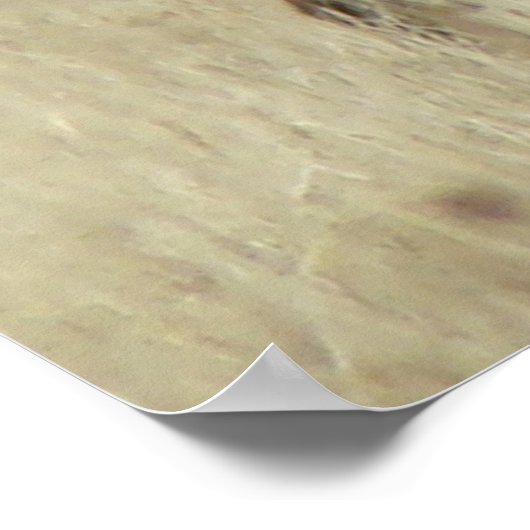 Poster Maître de troupeau de wapitis E4 (Coin)