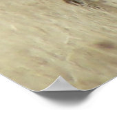 Poster Maître de troupeau de wapitis E4 (Coin)