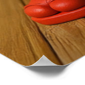 Poster Maître Kagu Kendo (Coin)