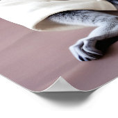 Poster Maître Lemur (Coin)