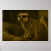 Poster Majesté de Meerkat (Devant)