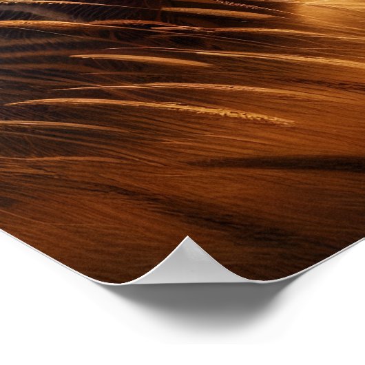 Poster Majestic Aardvark dans Sunlit Field (Coin)