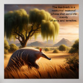 Poster Majestic Aardvark dans Sunlit Field (Devant)