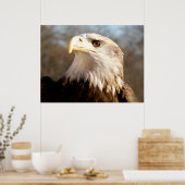 Poster Majestic Bald Eagle (Cuisine)
