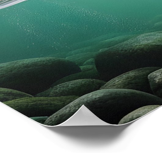 Poster Majestic Bear Catch (Coin)