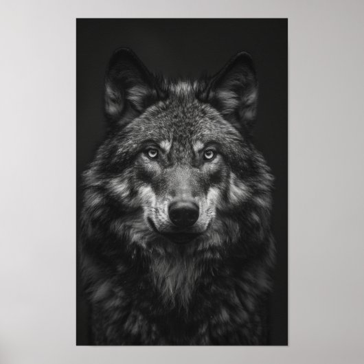 Poster Majestic Black and White Wolf Portrait (Devant)