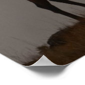 Poster Majestic Bull (Coin)