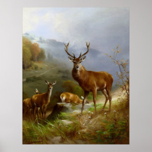 Poster Majestic Deer ~