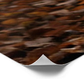 Poster Majestic Deer  (Coin)