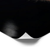 Poster Majestic Feline Portrait (Coin)