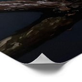 Poster Majestic Leopard and Full Moon   (Coin)