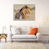 Poster Majestic lion wildlife