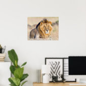 Poster Majestic lion wildlife (Bureau à domicile)