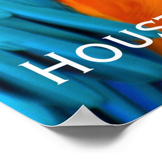 Poster Majestic Macaw (Coin)