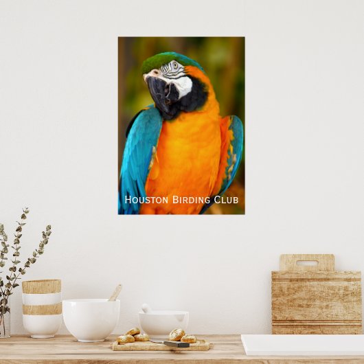 Poster Majestic Macaw (Cuisine)