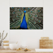 Poster Majestic Peacock (Cuisine)