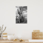 Poster Majestic Saguaro Cactus (b/w) (Cuisine)