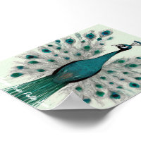 Majestic Splendor : Le paon de Boho