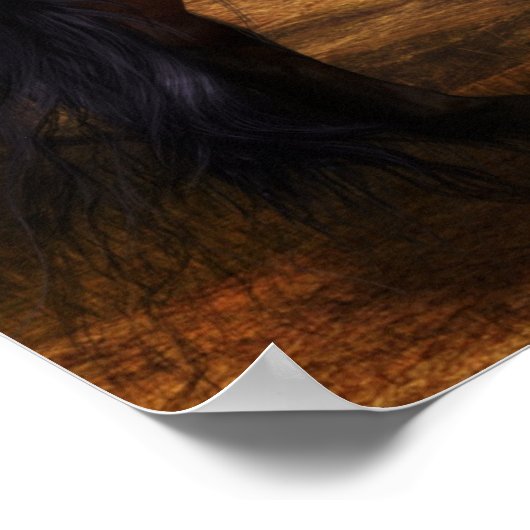 Poster Majestic Stallions (Coin)