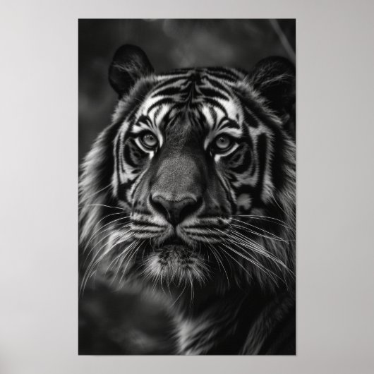 Poster Majestic Tiger Portrait Art (Devant)