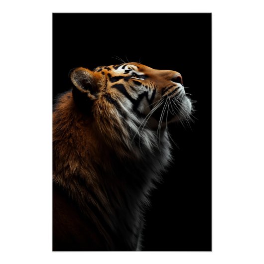 Poster Majestic Tiger Portrait, Strength Royal Confidence (Devant)